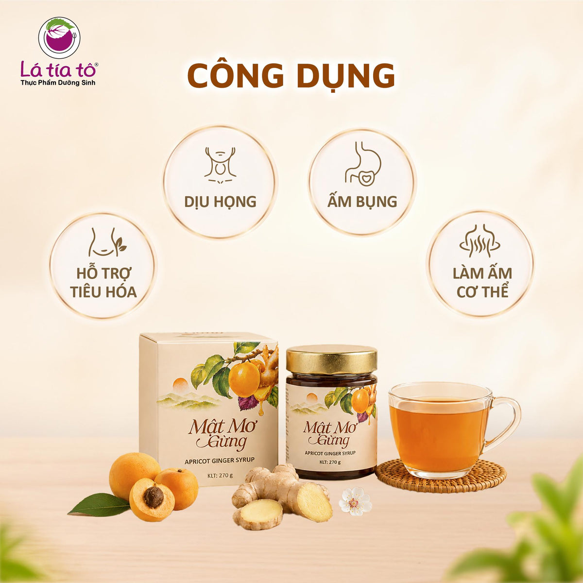 🍑 MẬT MƠ GỪNG – THỨC UỐNG DƯỠNG SINH THƠM NGON, TIỆN LỢI