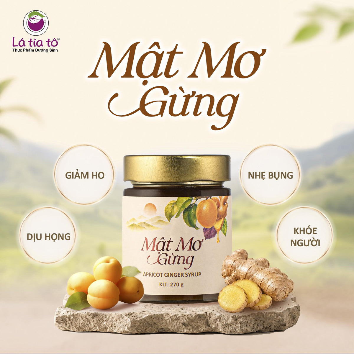 🍑 MẬT MƠ GỪNG – THỨC UỐNG DƯỠNG SINH THƠM NGON, TIỆN LỢI